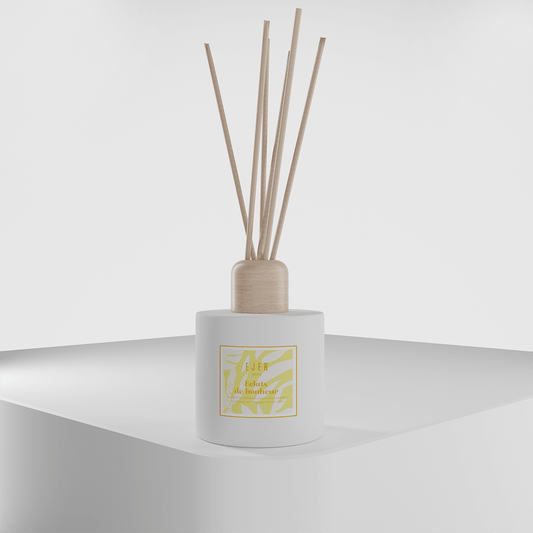 Diffuseur D'intérieur Naturel